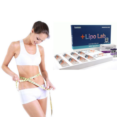 Lipo Lab Ppcs Solution การลดน้ําหนักของร่างกาย การละลายไขมัน